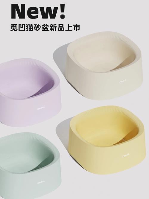 和朋友一起做有趣的事情